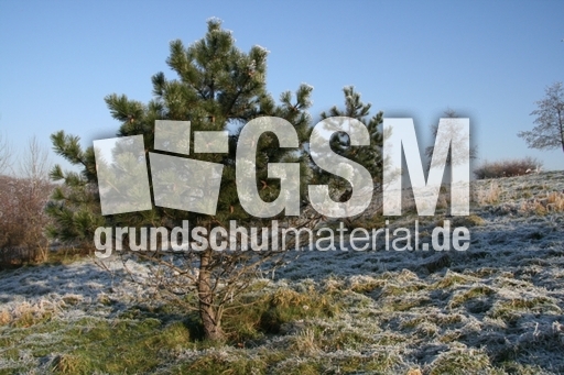 Winterimpressionen 017.jpg